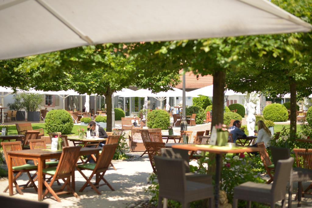 Schloss Reinach Freiburg im Breisgau Exteriér fotografie