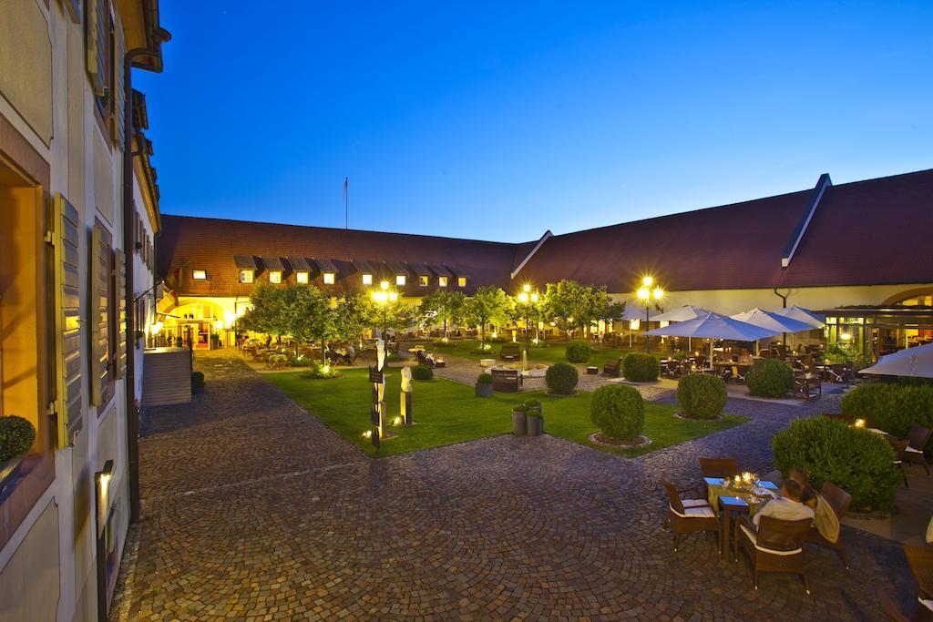 Schloss Reinach Freiburg im Breisgau Exteriér fotografie